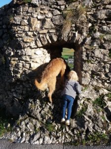 Kind und Hund entdecken die Welt