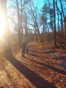 Herbstspaziergang